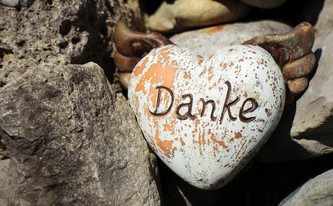 How Human Emotions Fit into Cognitive Science